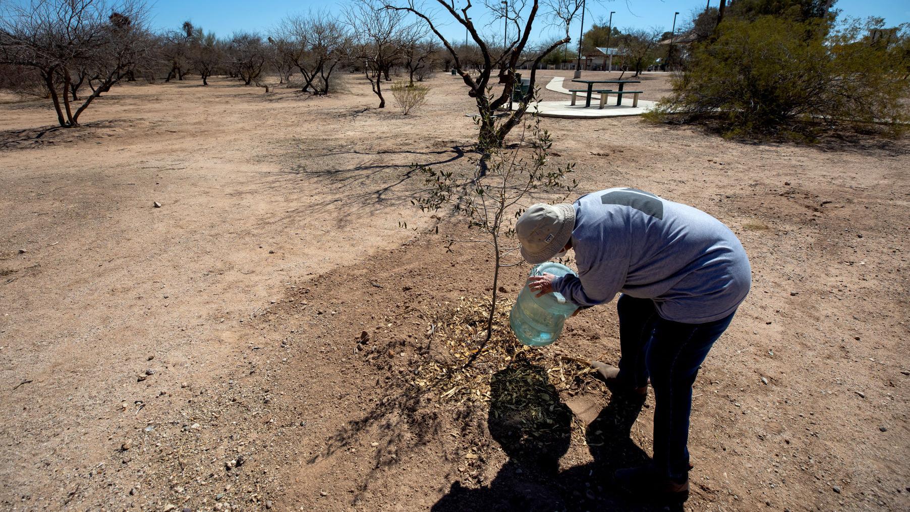 Tucson's south side gets hotter than other parts of city, and not just because of elevation